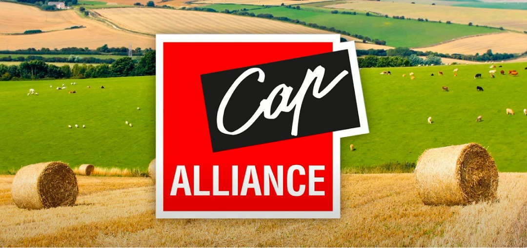 Logo de la coopérative agricole Cap Alliance