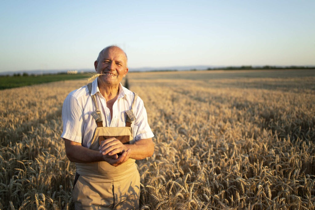 Agriculteur français de plus de 50 ans avec un tablier au milieu d'un champs de blé