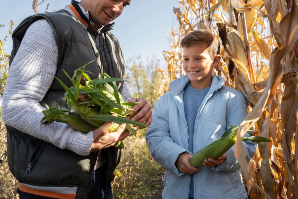 Agriculteur et son fils dans un champs de maïs qui représentent le renouvellement des générations