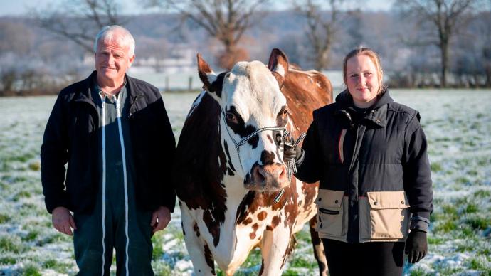 Lucie et François Foucault avec Oreillette, la vache normande égérie du salon de l'Agriculture 2024