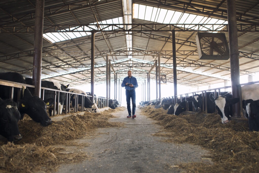 Agriculteur dans son exploitation agricole avec VIPros club de l'exploitant agricole