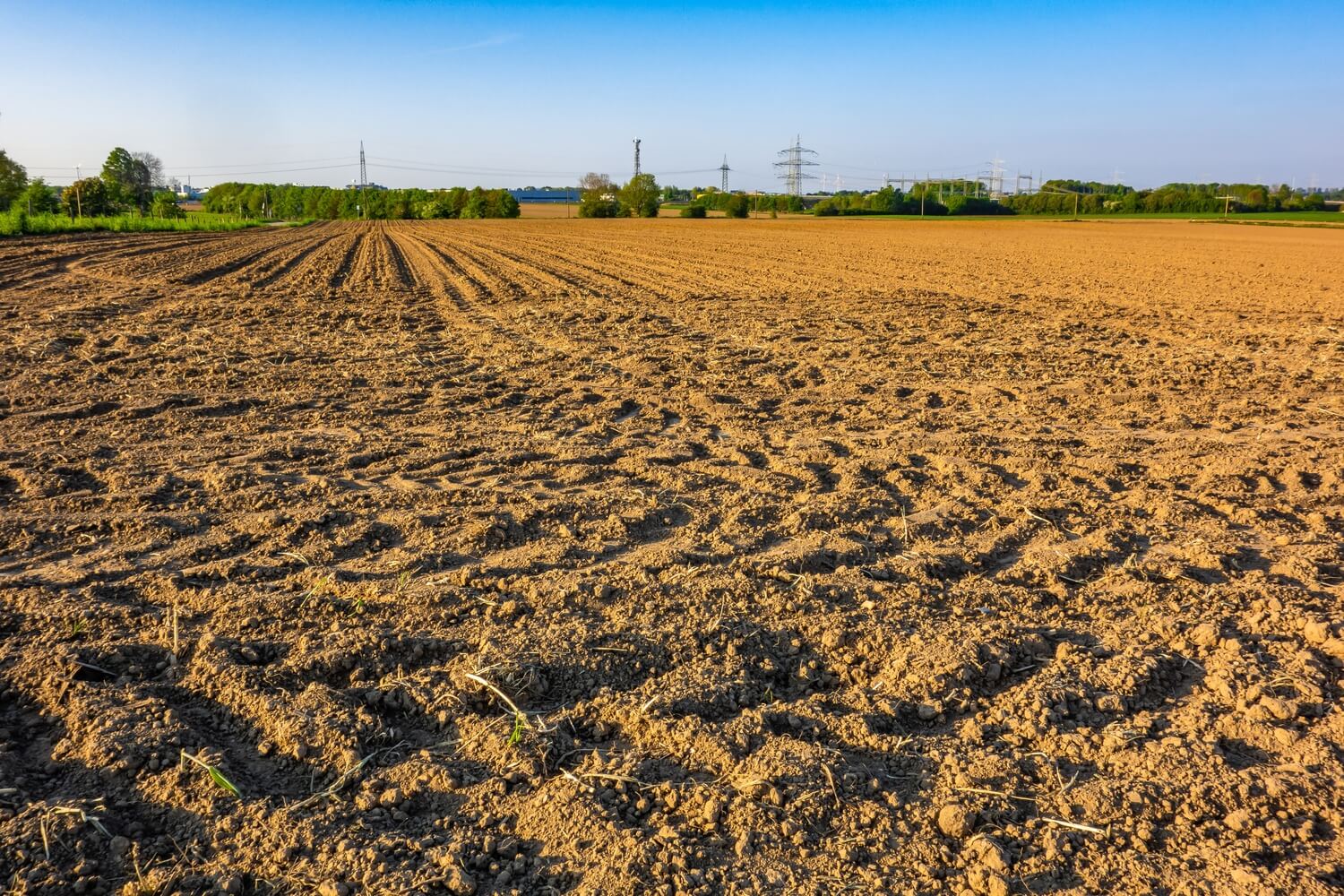 dechaumage-champs-agriculture-france-vipros