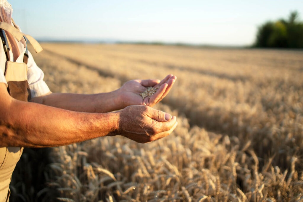 Salons et foires agricoles en France en 2025